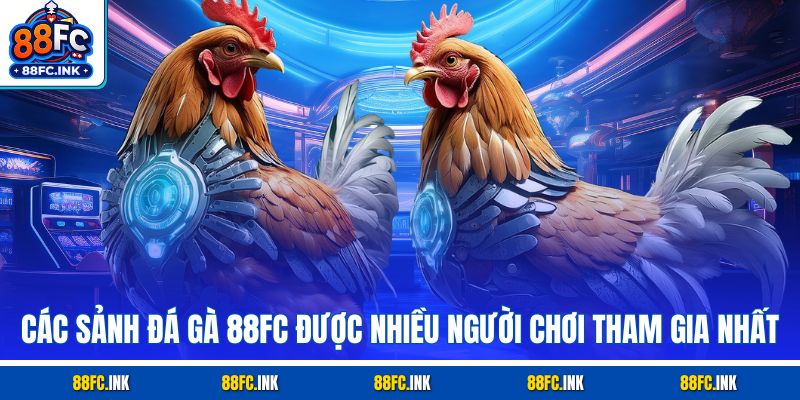 Các sảnh đá gà 88FC được nhiều người chơi tham gia nhất