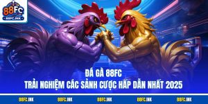 Đá Gà 88FC - Trải Nghiệm Các Sảnh Cược Hấp Dẫn Nhất 2025