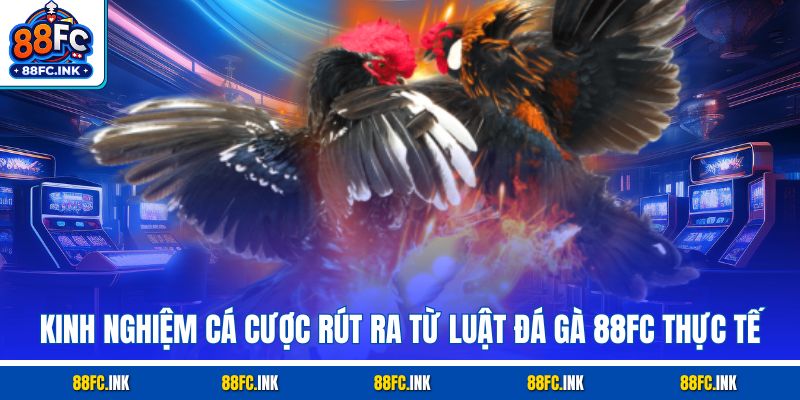 Kinh nghiệm cá cược rút ra từ luật đá gà 88FC thực tế