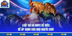 Luật Đá Gà 88FC Dễ Hiểu, Dễ Áp Dụng Cho Mọi Người Chơi